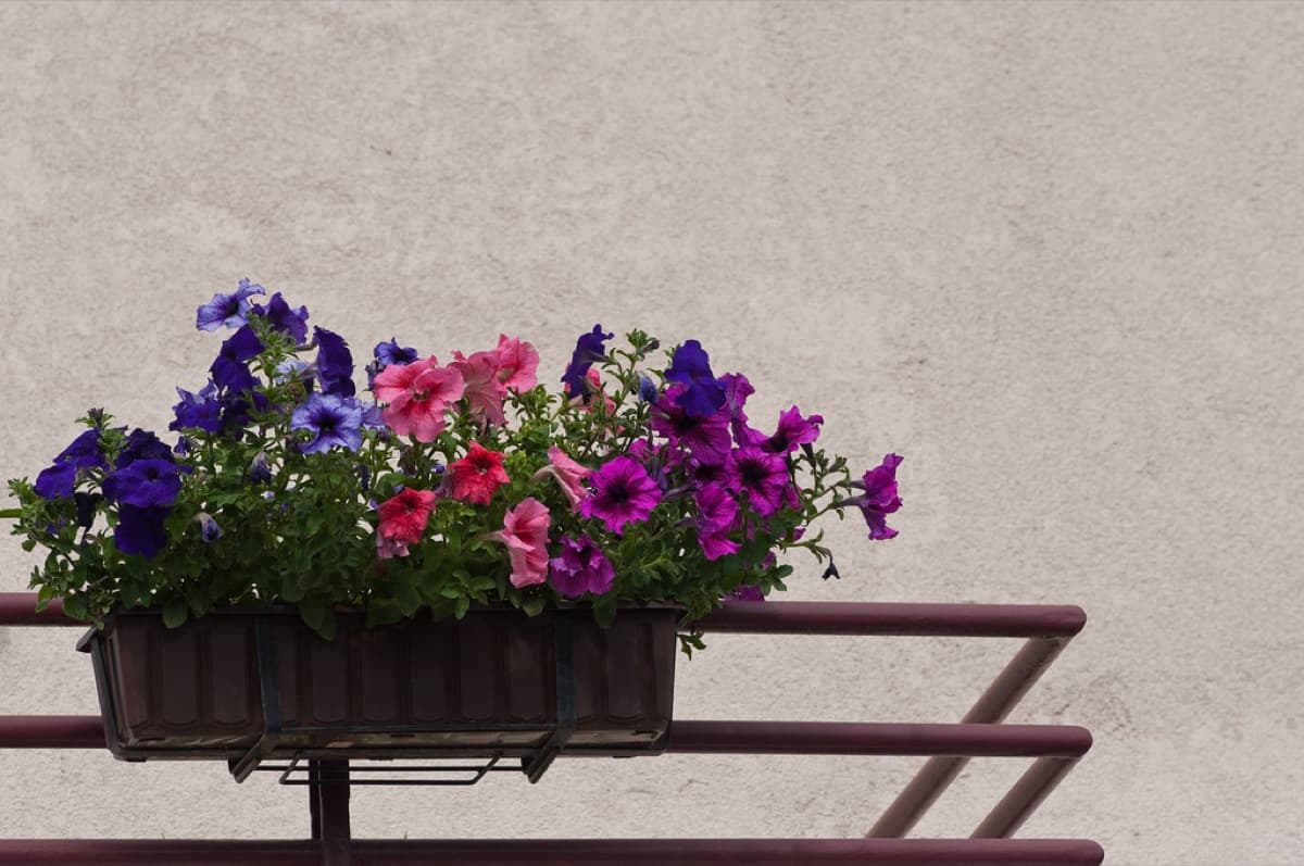 Balcony Flower Garden Kit