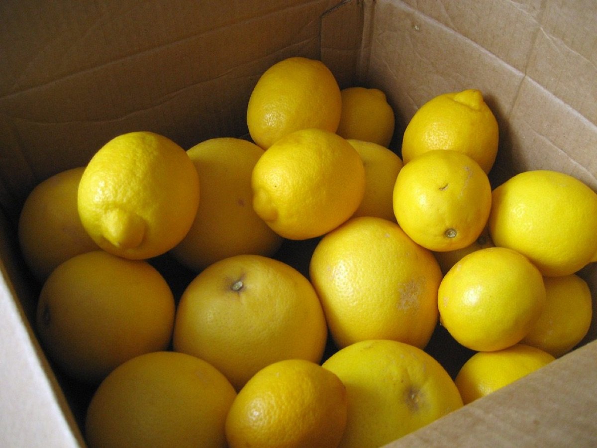 Lemon Seeds — Kagzi type