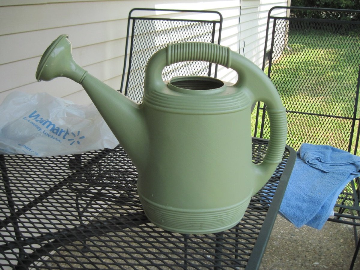 Watering Can — 5 L with Rose Head